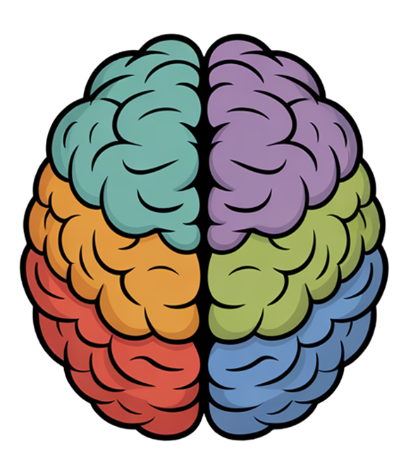 Doerfy second brain module map